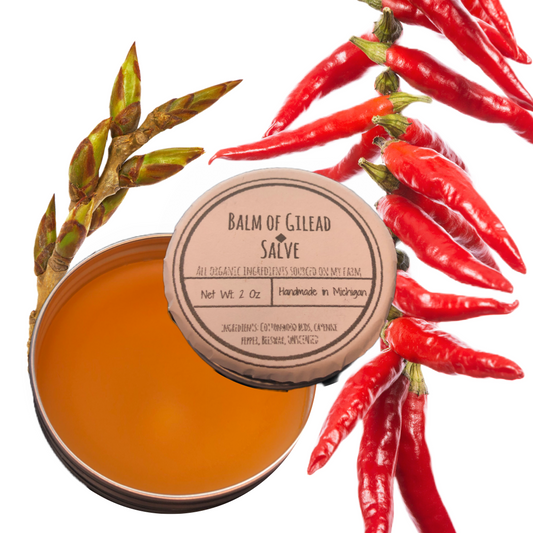 Salve: Balm Of Gilead 1 oz