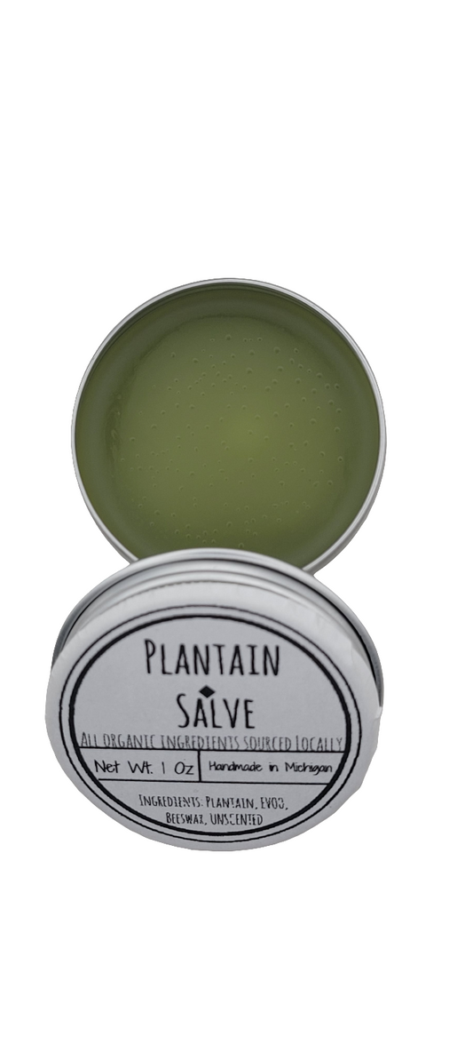 Salve: Plantain 1 oz.