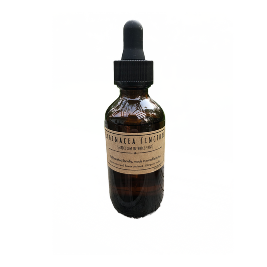 Tincture: Echinacea 2oz